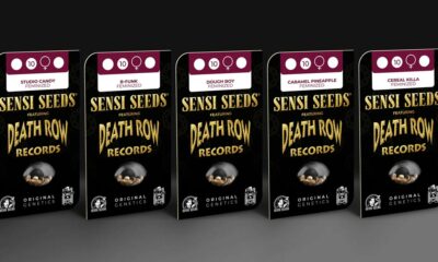 Sensi Seeds et Death Row Records lancent leurs variétés de cannabis