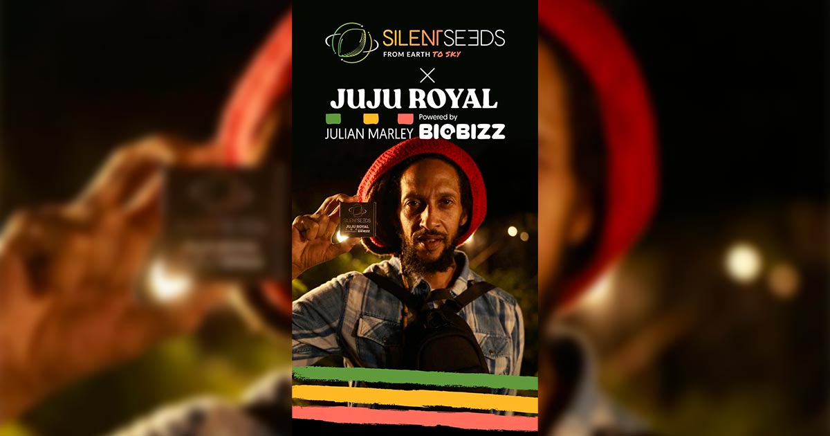 Variétés Silent Seeds et Julian Marley