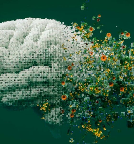 Cannabis et mémoire