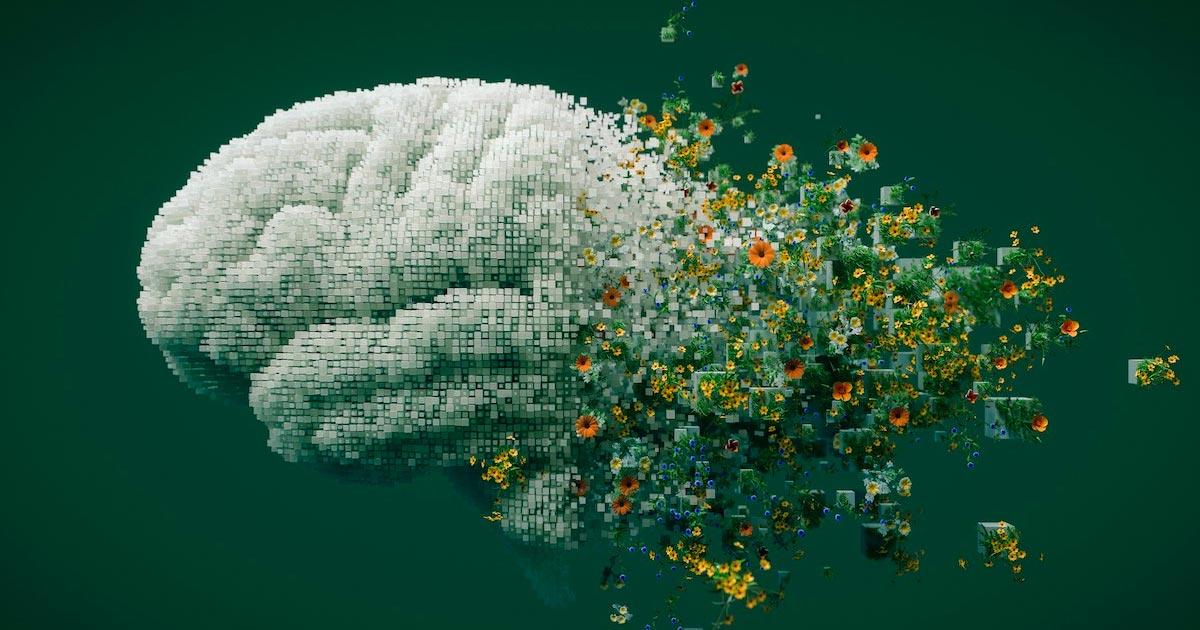 Cannabis et mémoire