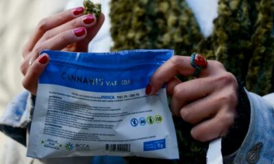 Marché gris du cannabis en Uruguay