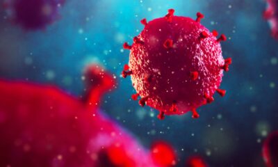 Le CBD empêcherait l'infection par le VIH