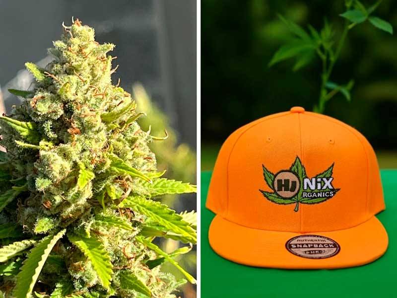 HiNix Organics