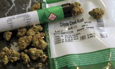 Medical cannabis for terminally ill patients in Louisiana