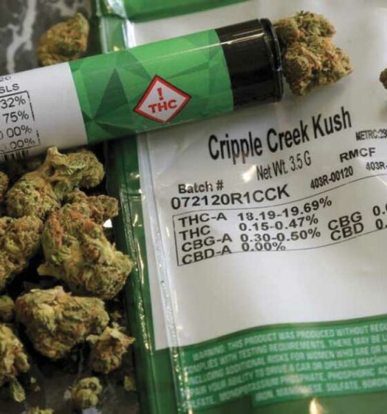 Medical cannabis for terminally ill patients in Louisiana