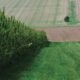 Exporting industrial hemp from France
