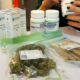 Forme fumée de cannabis médical en Israel