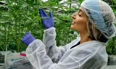 Turbo Cannabis en Israël