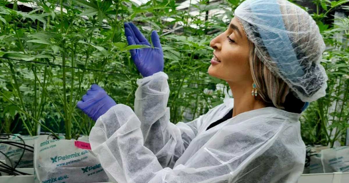 Turbo Cannabis en Israël