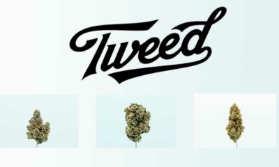 Tweed in Germany