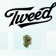 Tweed en Allemagne