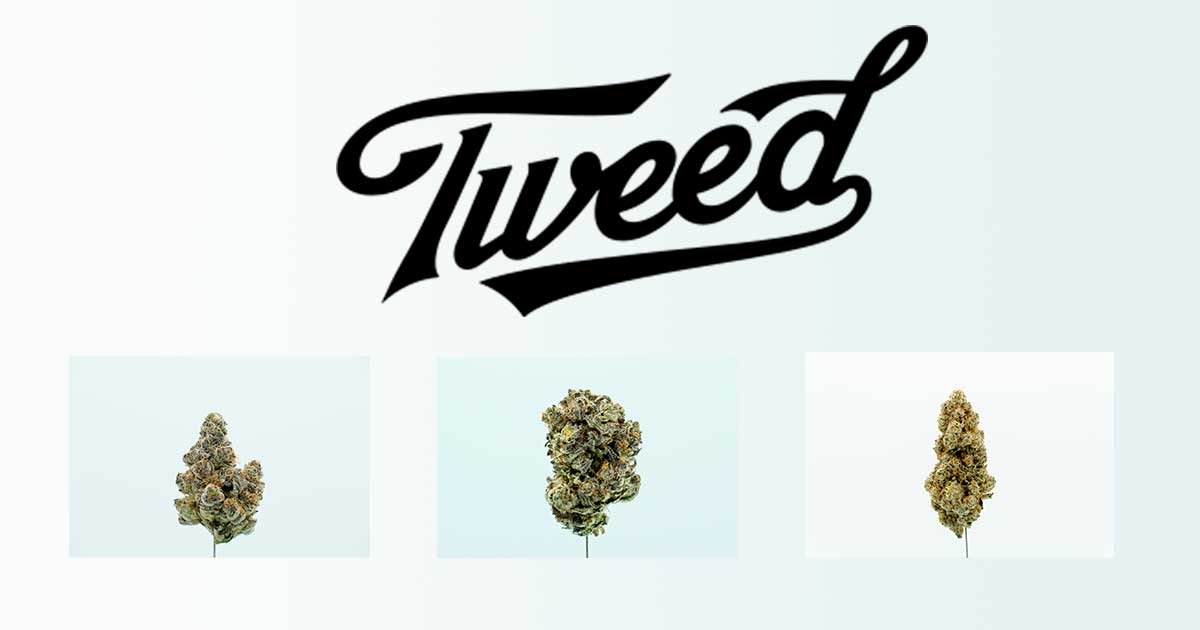 Tweed in Germany