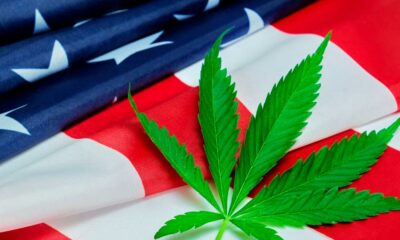 DEA Hearings on the Reclassification of Cannabis Begin