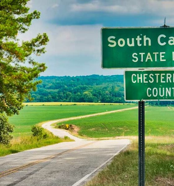 Medical Cannabis in South Carolina