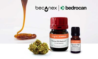 Bedrocan cannabis concentrate