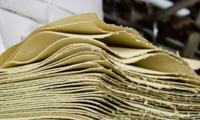 Fibres de chanvre dans le papier recyclé