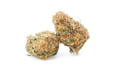 CBD Flower