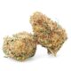 CBD Flower