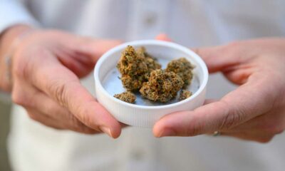 Import de cannabis médical en Allemagne