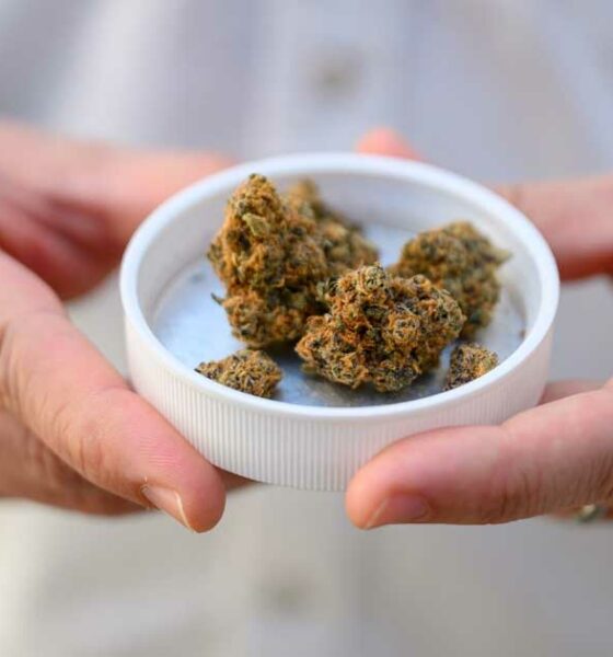 Importing medical cannabis into Germany