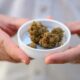 Importing medical cannabis into Germany