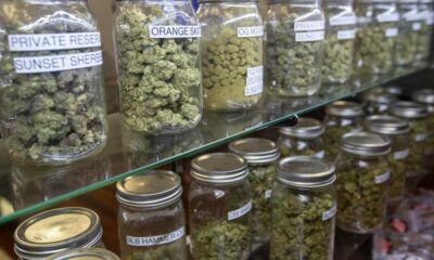 Taxe sur les dispensaires illégaux de cannabis à Los Angeles