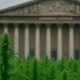 Marché du CBD en France 2026