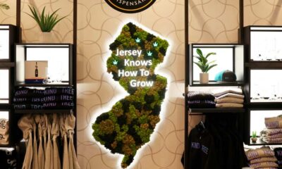 Cannabis dispensaries in New Jersey