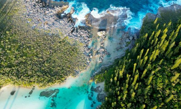 A framework for hemp in New Caledonia