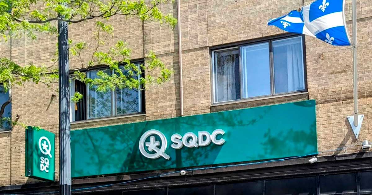Cannabis sales at the SQDC in 2025