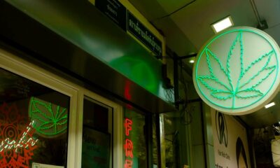 New, Stricter Rules for Cannabis Stores in Thailand