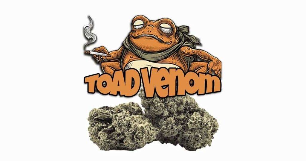 Toad Venom