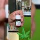 Ordonnance de cannabis médical en Ukraine