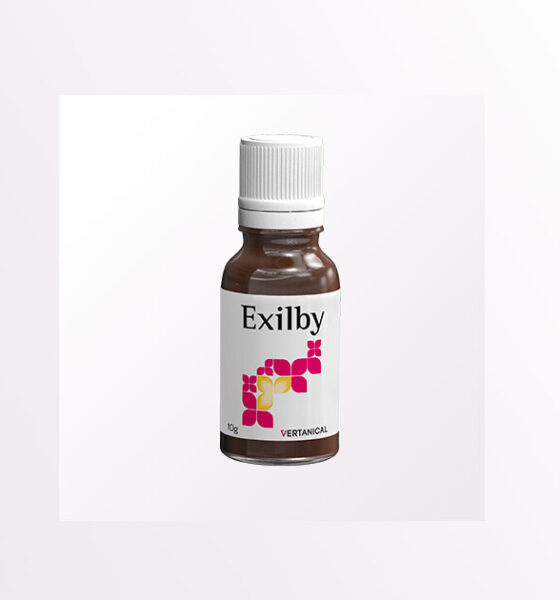 THE VER-10 Exilby by Vertanical