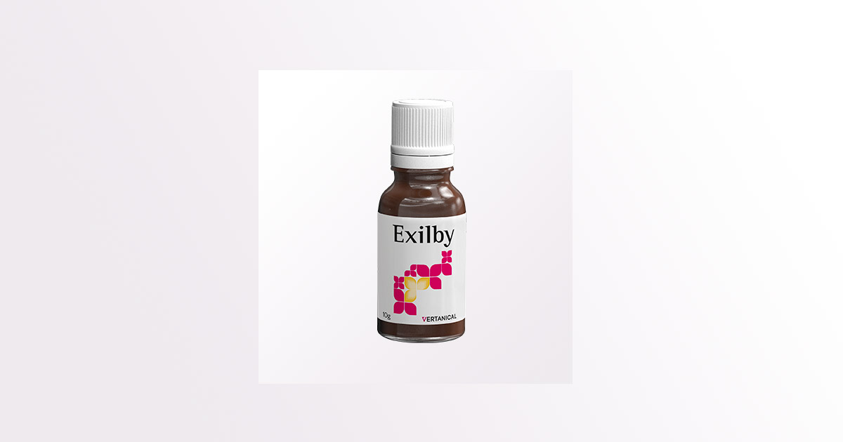 THE VER-10 Exilby by Vertanical