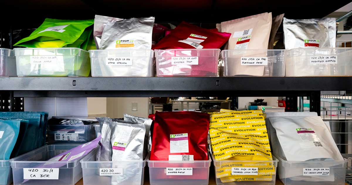 Trends in Medical Cannabis in Germany