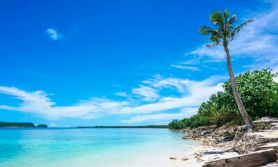 First Medical Cannabis License in Guam