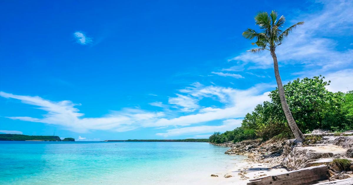 First Medical Cannabis License in Guam
