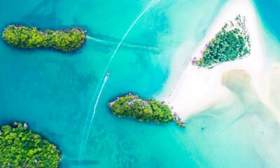 Toward the Decriminalization of Cannabis in the Cayman Islands