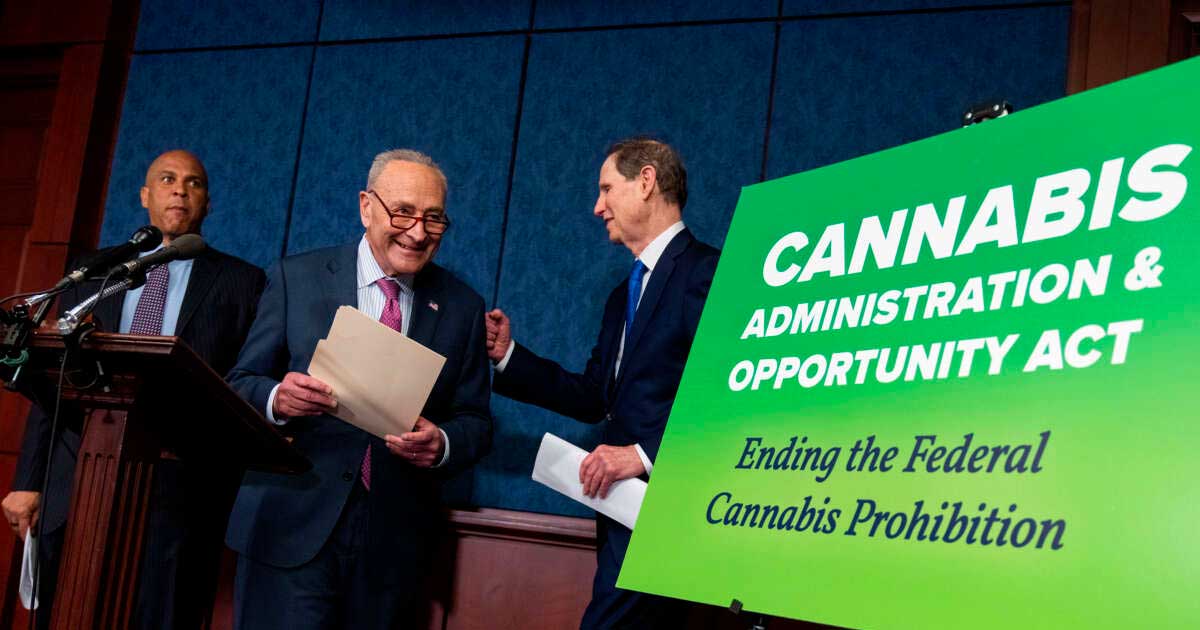Projet de légalisation du cannabis aux Etats-Unis