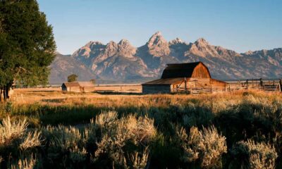 Wyoming Rejects the Reclassification of Cannabis