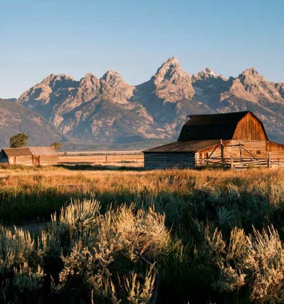 Wyoming Rejects the Reclassification of Cannabis