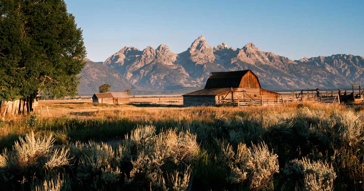 Le Wyoming refuse la reclassification du cannabis