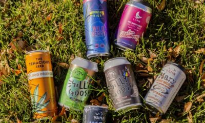 The U.S. Congress Wants to Save THC-Infused Beverages