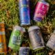The U.S. Congress Wants to Save THC-Infused Beverages