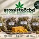 2CBD Wholesaler