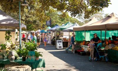 Cannabis Farmers' Market