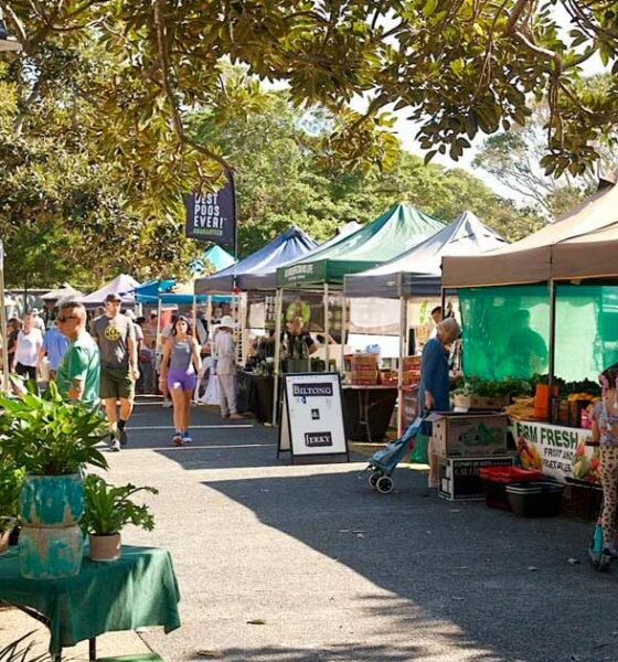 Marché de producteurs de cannabis