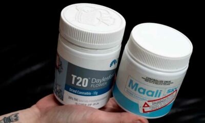 Explosion des ordonnances de cannabis médical en Australie