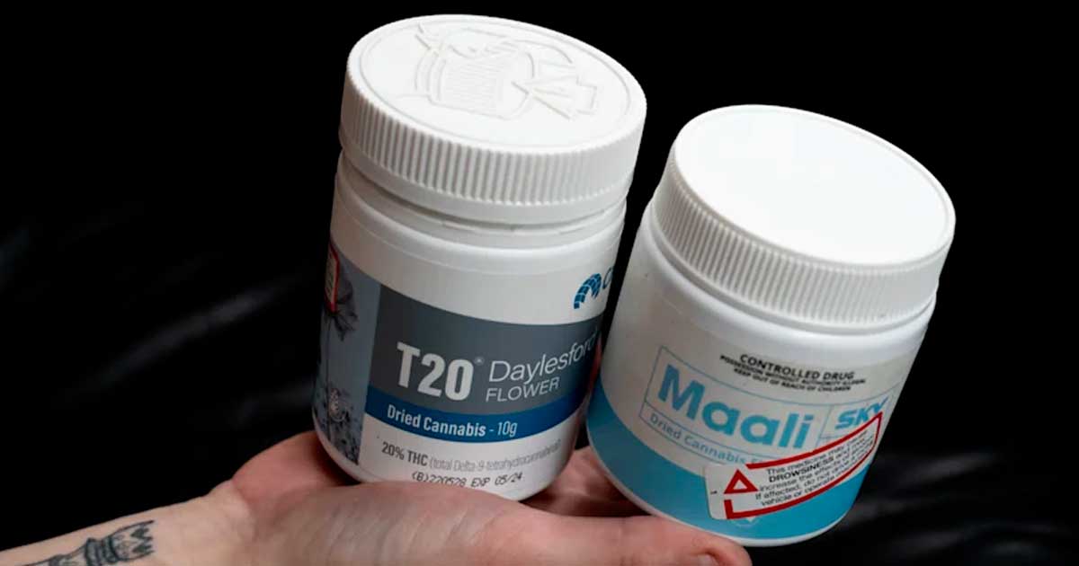 Explosion des ordonnances de cannabis médical en Australie